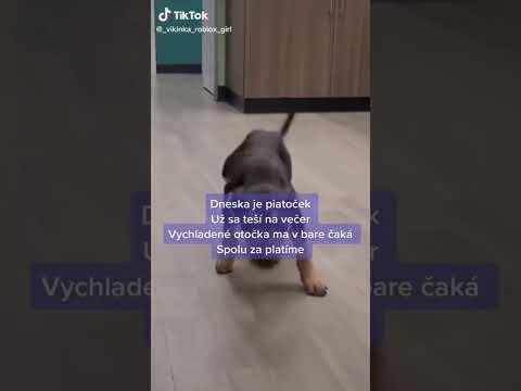 a idemee hoppaa dneska je piatocek