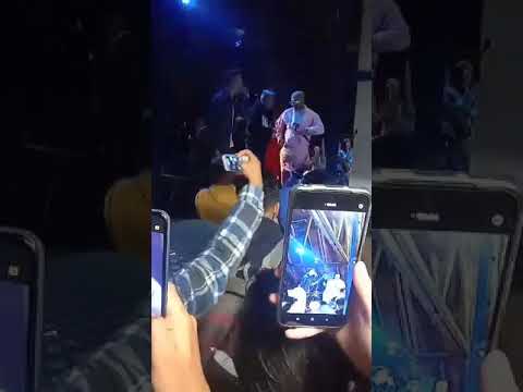 cico band rene rendy